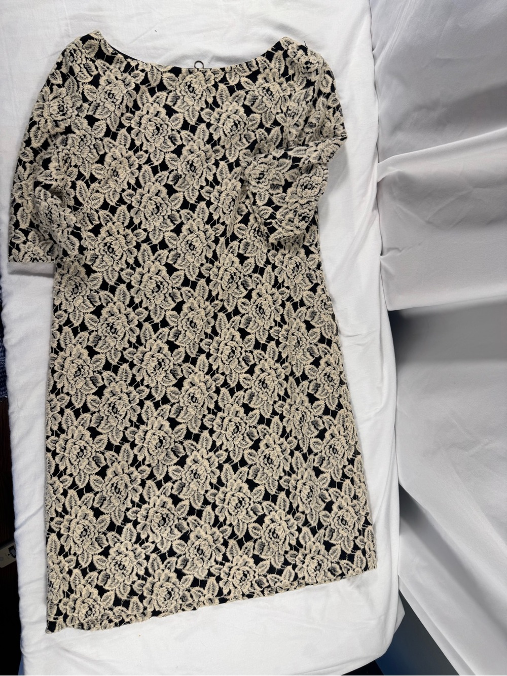 Adrianna Papell Floral Lace Shift Dress Cream Black Knee Length Sz 10 Romantic